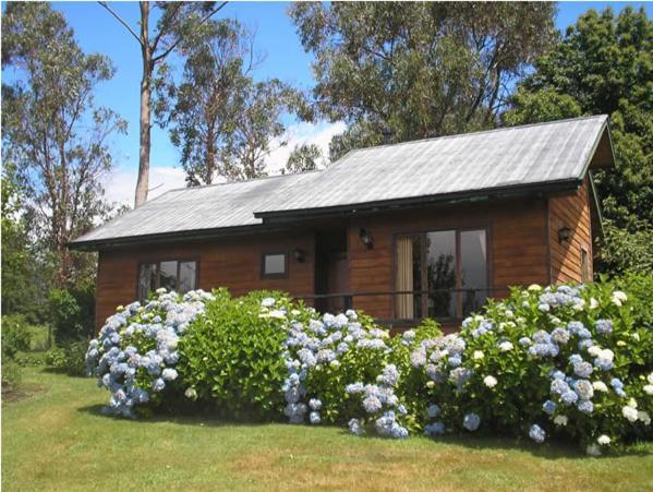 Las Juntas Ecolodge بويوهو المظهر الخارجي الصورة